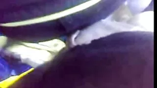 جنسی بلی میں ایک موٹی عورت کی طرف سے بھاڑ میں جاؤ فیلم سمسی ایرانی
