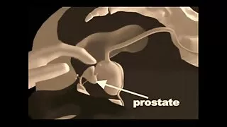 Brunette شہزادی ایک بڑا دخش پر فیلم کوتاه سکسی ایرانی بلی سواری