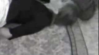 وہ پچھواڑے میں ایک بڑا ڈک کے فیلم ایرانی سکسی جدید ساتھ اپنی گرل فرینڈ fucks اور orgasm کی طرف جاتا ہے